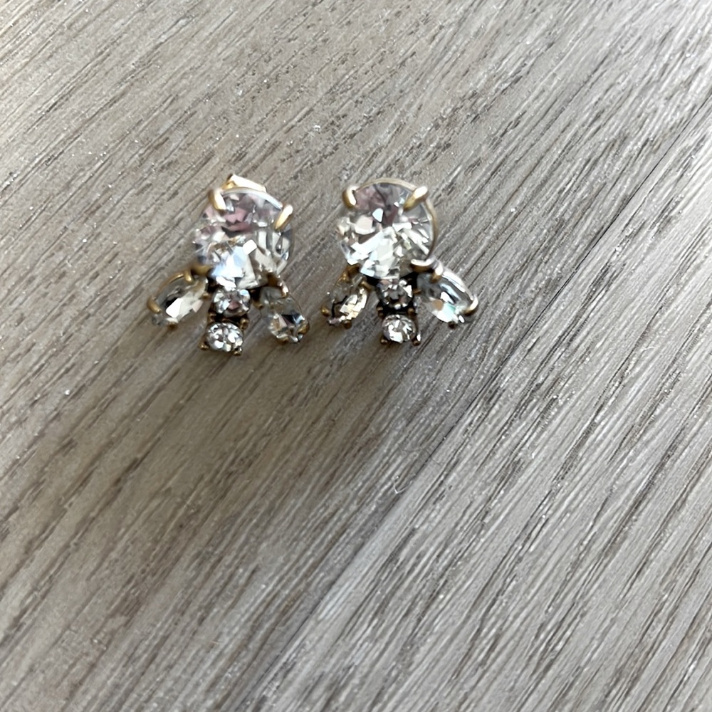 J Crew Statement Earring
